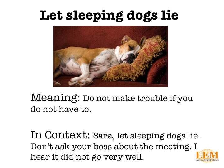 write a narrative essay on let the sleeping dog lie
